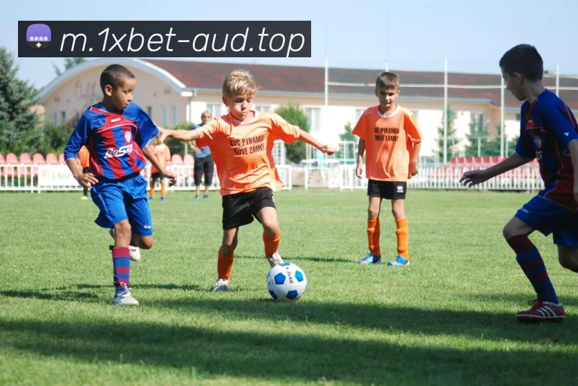 1xbet官网平台生态图